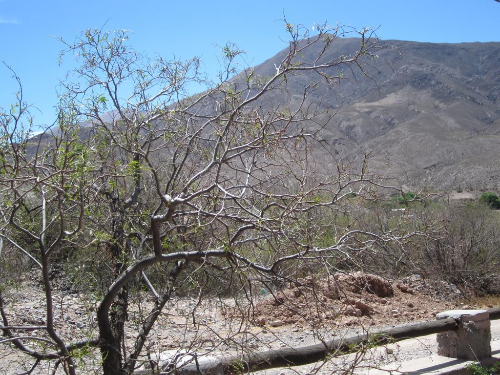 Posada Campo Morado Huacalera Zewnętrze zdjęcie