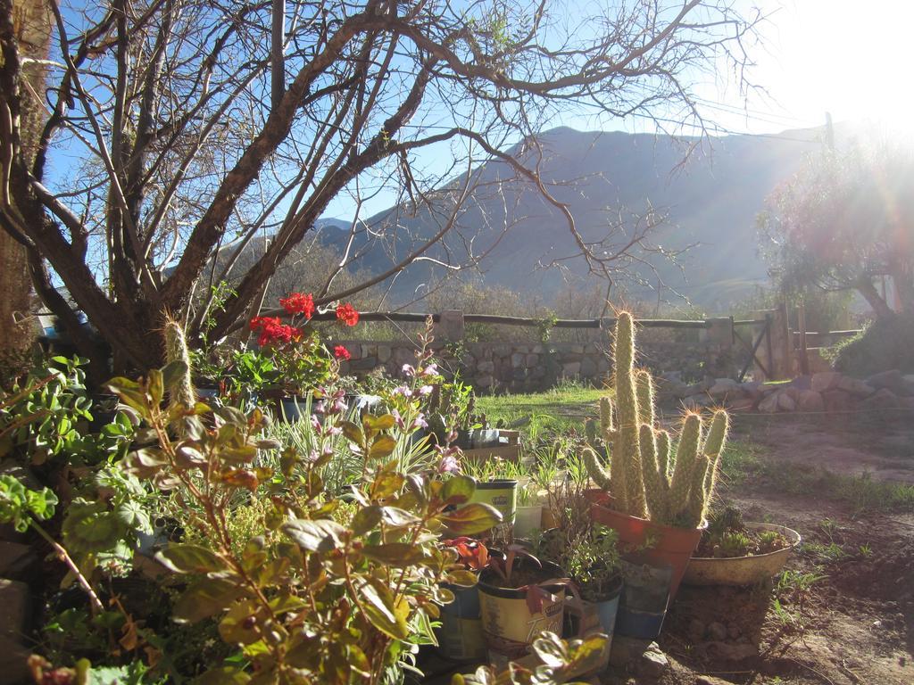 Posada Campo Morado Huacalera Zewnętrze zdjęcie